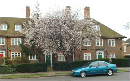 Southwood Court 02-4